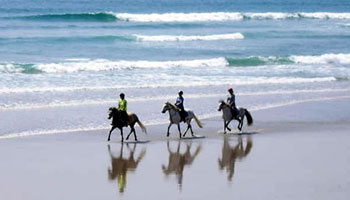 Letterfrack, connemara self catering