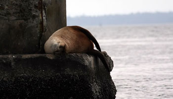 Letterfrack, connemara self catering